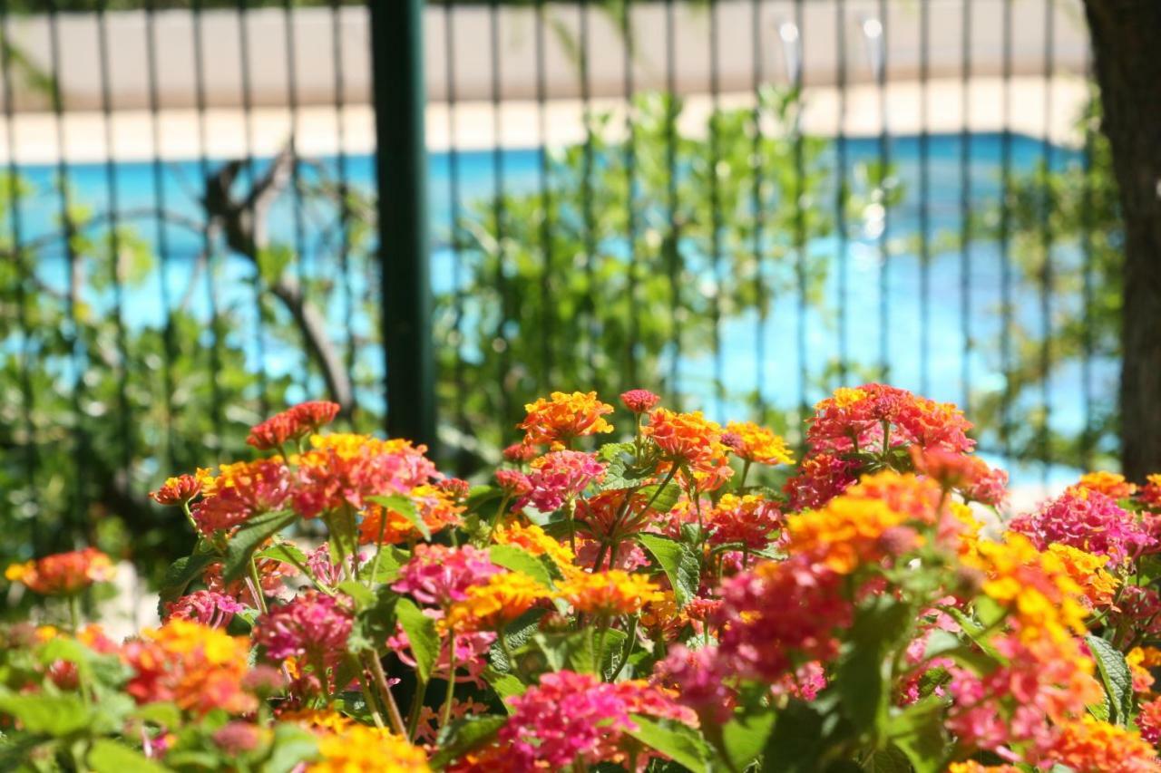 ניס Studio Le Fabrina Riviera מראה חיצוני תמונה